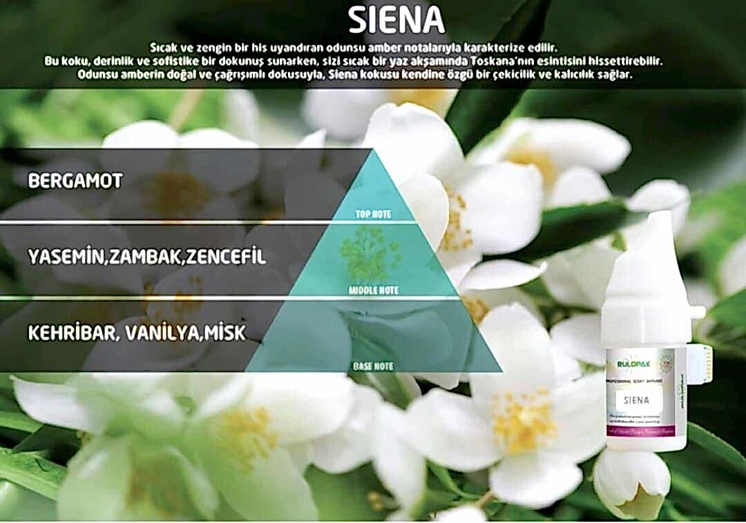 Siena Cosmic M5 , Cosmo M6 Koku Makinesi Kartuşu