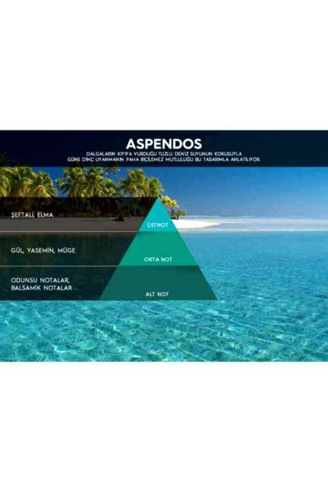 Cosmic M5 Koku Makinesi Kartuşu Aspendos